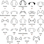 Personalized Dog Mom Sweatshirt, Custom Dog Ear Line Art Portrait Sweatshirt for Women, Pet Name Pullover Crewneck for Women, Customized Pet Lover Gifts, Mom Gift for Christmas Mothers 2