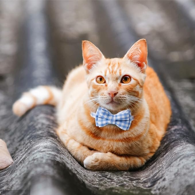 AIITLE Breakaway Cat Collar with Cute Bow Tie and Bell, Detachable Adjustable Safety Collars for Girl Cats and Boy Cats, Kittens, Puppy, Soft Stylish Plaid Patterns Cat Collars,Blue