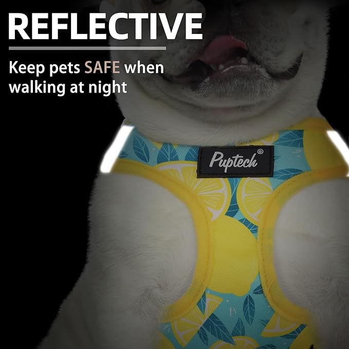 PUPTECK Dog Harness and Leash Set for Small Medium Dogs No Pull Step-in Soft Mesh Puppy Cat Vest Harnesses Reflective at Night, Yellow Lemon, M