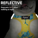 PUPTECK Dog Harness and Leash Set for Small Medium Dogs No Pull Step-in Soft Mesh Puppy Cat Vest Harnesses Reflective at Night, Yellow Lemon, M