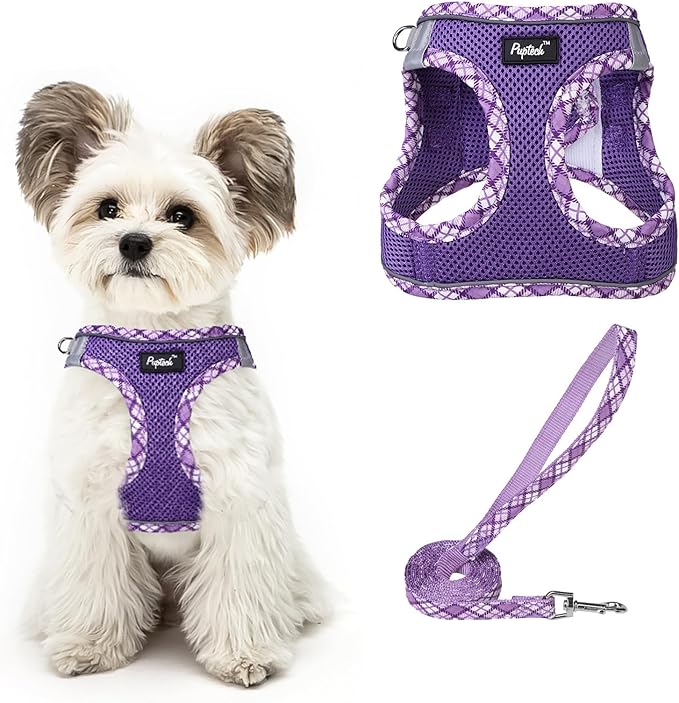 PUPTECK Dog Harness and Leash Set for Small Medium Dogs No Pull Step-in Soft Mesh Puppy Cat Vest Harnesses Reflective at Night, Upgraded New Purple XS