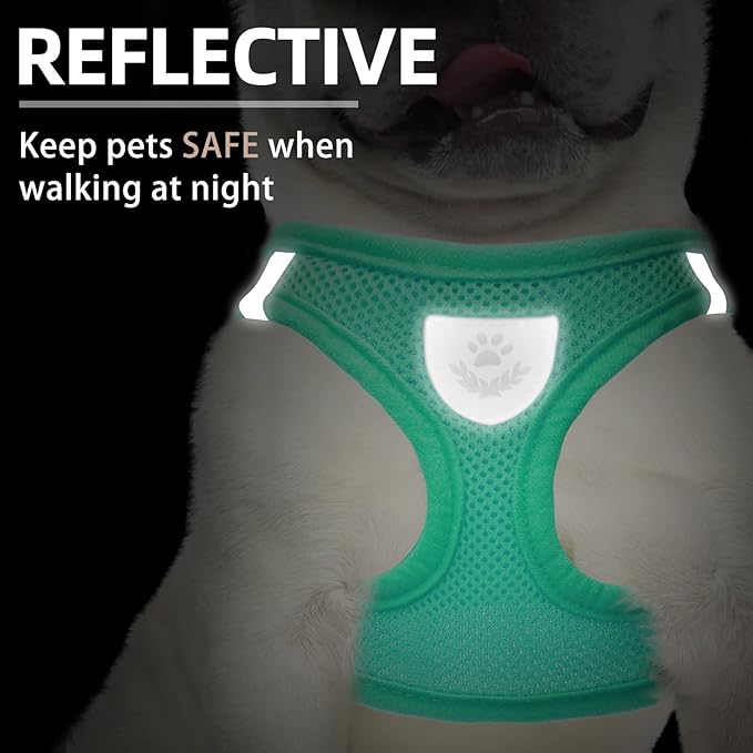 PUPTECK Adjustable Dog Harness Collar and Leash Set Step in No Pull Pet Harness for Small Medium Dogs Puppy and Cats Outdoor Walking Running, Soft Mesh Padded Reflective Vest Harnesses, Solid Green XS