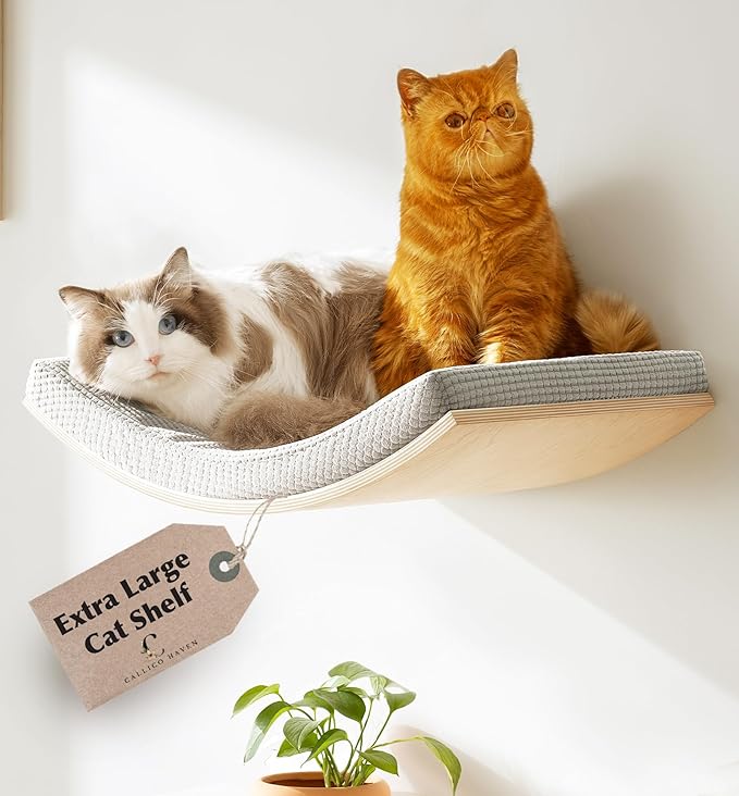 Extra Large 23.6”×14.6” CALLICO HAVEN- Stylish Cat Wall Shelves with Curved Design, Modern Wall-Mounted Cat Tree Hammock with Soft Cushion, Sturdy/Hidden Mounts, Washable Cover, Sleek Design -C Shape