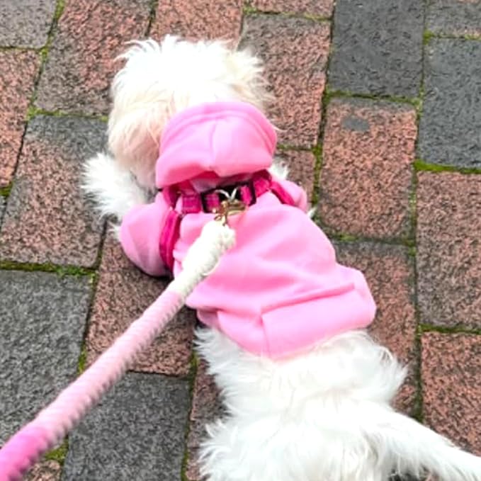 Jecikelon Winter Dog Hoodie Sweatshirts with Pockets Warm Dog Clothes for Small Dogs Chihuahua Coat Clothing Puppy Cat Custume (Pink, Large)