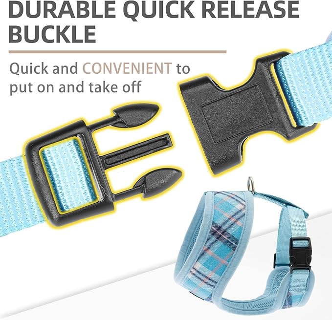 PUPTECK Soft Mesh Dog Harness and Leash Set Pet Puppy Cat Comfort Padded Vest No Pull Harnesses, Light Blue, XS
