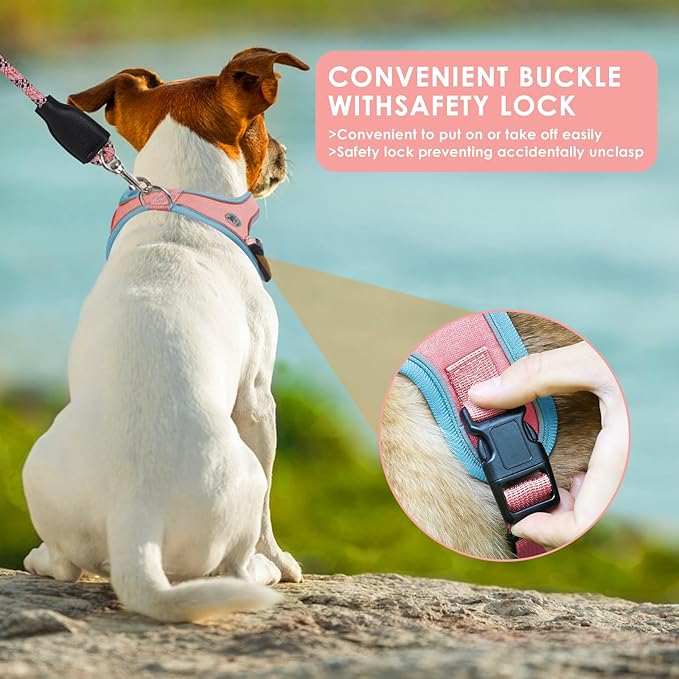 Dog Harness and Leash Set, No Pull Saddle Style Pet Harness, Breathable Mesh Adjustable Reflective Dog Vest for Dogs and Cat Medium Small Harness 2 D-Rings (Pink, L)