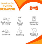 Nylabone Original & Textured Bone Power Chew Toy for Dogs, Durable & Tough Dog Toys for Aggressive Chewers, Basted Blast Bacon and Steak Flavor, X-Small Dogs - Up to 15 lbs, 2 Pack