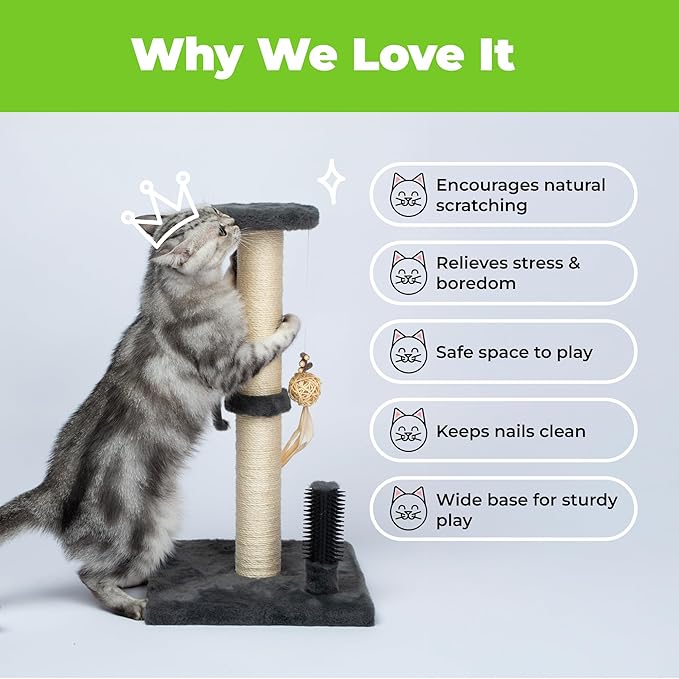 Best Pet Supplies Catify Cat Scratcher, Fun Interactive Scratchers, Posts, Poles, Claw Safe, Furniture Saver Indoor Play Support Natural Cat Behaviors Heavy Duty - Gray, Large