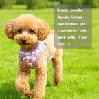 PUPTECK Dog Harness for Puppy and Small Sized Dogs, Step-in No Pull Soft Mesh Vest Harness for Cats Small Pets Walking, Purple Dasiy, New XS
