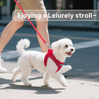 PetiFine Step in Small Dog Harness and Leash Set, Breathable All Weather Air Mesh Reflective Escape Proof, Step-in Vest Harnesses for Puppy(S, Red)