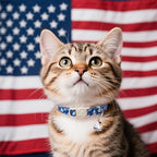 4th 0f July Cat Collar,2Pack Patriotic Day Kitten Collars Cute Flag Breakaway Kitty Collars,Summer Baseball Blue Cat Collar with Bell, for Girl & Boy Cats