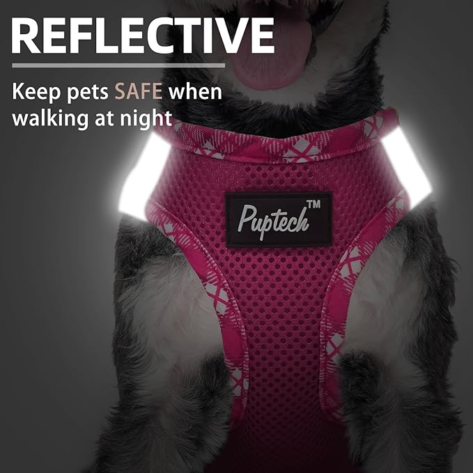 PUPTECK Dog Harness and Leash Set for Small Medium Dogs No Pull Step-in Soft Mesh Puppy Cat Vest Harnesses Reflective at Night, Fuchsia, S