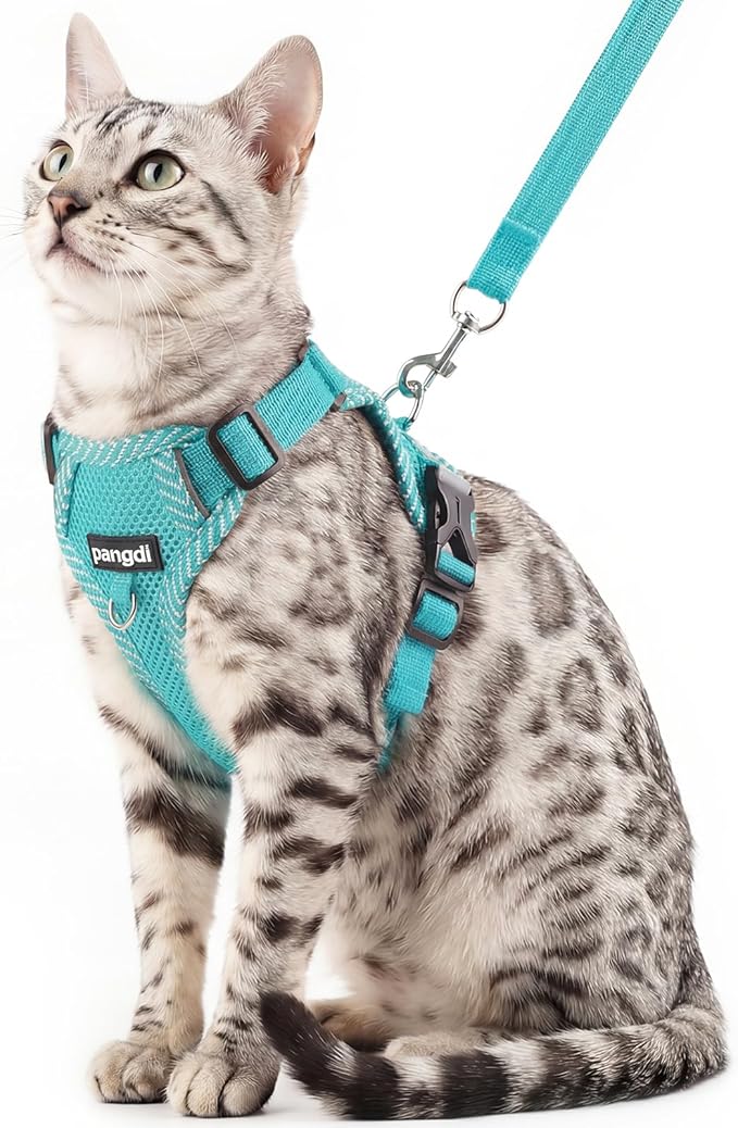 Cat Harness and Leash Escape Proof Large Kitten Harness Ragdoll Cat Vest for Walking Travel, Turquoise, L