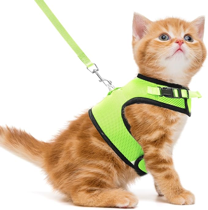 PUPTECK Soft Mesh Cat Vest Harness and Leash Set Puppy Padded Pet Harnesses Escape Proof for Cats Small Dogs Rabbits Bunny