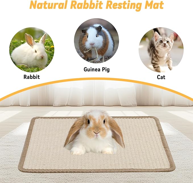 Sisal Scratcher Mat for Rabbit,15.74 x 11.81 Inch Bunny Scratch Mat for Grinding Claw Resting Playing Chew Natural Sisal Rabbit Foot Mat for Ferret,Guinea Pigs,Hedgehog,Chinchillas
