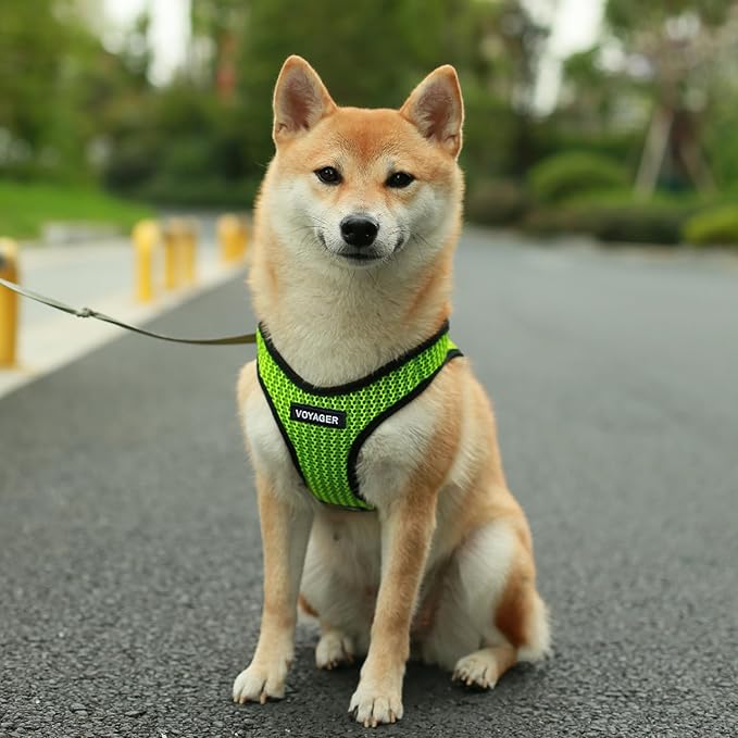 Best Pet Supplies - All Weather Mesh/Plush, Reflective, No Pull Harness for Small, Medium Dogs, Cats - Secure with Hook & Loop Fastener, Buckle, Double D-Rings - Lime Green 2-Tone, M