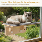 Pecute 2-in-1 Large Cat Window Perch & Wall Shelves, Cat Hammock Window with Solid Wood, Strong Suction Cup, Washable Cover Mat, Window seat Indoor, Cats Perch Bed for Birds Watching Inside, 21"x11"