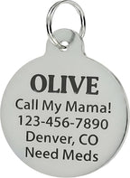 Bad Tags Personalized Dog and Cat ID Tags in 25+ Designs and 2 Sizes - 5 Lines of Custom Engraved Text - Funny Cute Personalized Pet Tags (Cheese Tax Collector, Large (1.25 inch))