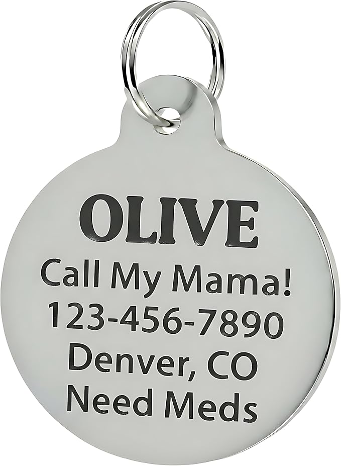 Bad Tags Personalized Dog and Cat ID Tags in 25+ Designs and 2 Sizes - 5 Lines of Custom Engraved Text - Funny Cute Personalized Pet Tags (Cheese Tax Collector, Large (1.25 inch))