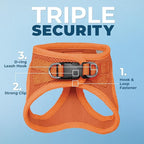 Voyager Step-in Pet Harness - All Weather Mesh, Adjustable Step in Harness for Cats and Dogs by Best Pet Supplies - 307S Orange, XXXS