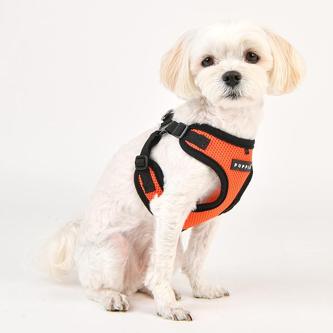 Puppia Dog Harness Comfort Mesh Step-in All Season No Pull No Choke Walking Training Adjustable Neck & Chest for Small & Medium Dog - Orange - M