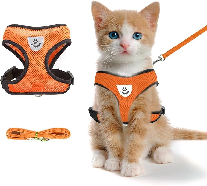 shudyear Summer cat Chest Harness and Leash, Anti-Escape Adjustable Soft mesh cat Leash and Chest Harness Set for All Types of Cats cat Vests (Size S, Orange)