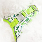 Step in Dog Harness No Pull Dinosaur Adjustable Soft Mesh Padded Reflective Pet Vest Harness and Leash Set for Small Medium Dogs