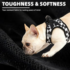 PUPTECK Adjustable Dog Harness Collar and Leash Set Step in No Pull Pet Harness for Small Medium Dogs Puppy and Cats Outdoor Walking Running, Checkered Black&White S