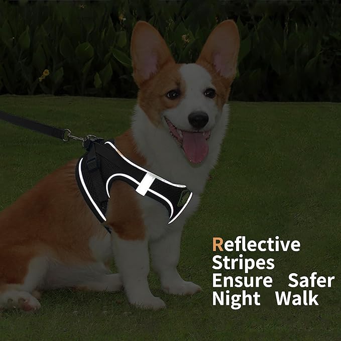 Step in Dog Harness with Leash Set, Adjustable Soft Padded and Breathable Mesh for Small Sized Dog, Reflective No Pull No Choke Cat Vest Harness, Easy Control Pet Vest, Black L