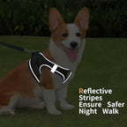 Step in Dog Harness with Leash Set, Adjustable Soft Padded and Breathable Mesh for Small Sized Dog, Reflective No Pull No Choke Cat Vest Harness, Easy Control Pet Vest, Black L
