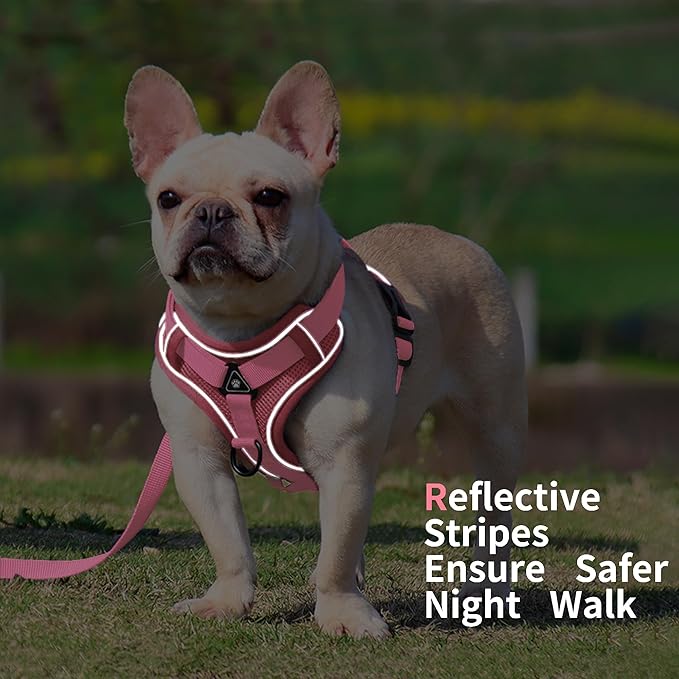 No Pull Dog Harness with Leash Set for Medium Sized Dog, Reflective Adjustable No Choke Front Clip Cat Vest Harness with Breathable Mesh, Comfortable Soft Padded Pet Vest, Pink XL