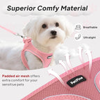 PetiFine Step in Small Dog Harness and Leash Set, Breathable All Weather Air Mesh Reflective Escape Proof, Step-in Vest Harnesses for Puppy(S, Pink)
