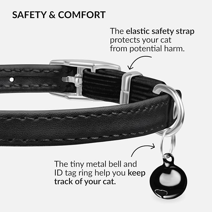 CollarDirect Leather Cat Collar with Bell - Kitten Collar, Small and Big Cat Collar for Boy Cats, Girl Cats with Safety Elastic Strap (Neck Fit 8"-11", Black)