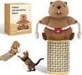 Cat Wrestling Glove, Cats Puppet Wrestler with Tough Padding for Safe Interactive Play, Cat Wrestling Toy Puppet with Cats Teaser and Bell for Boredom Busting Training and Exercise