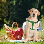 PUPTECK No Pull Dog Harness Soft Adjustable Basic Nylon Step in Puppy Vest Outdoor Walking with ID Tag, Blackish Green, M