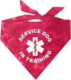 Service Dog in Training Dog Bandana (Red Scrunch, OS 289)