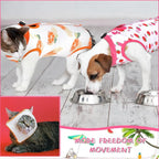 Nuanchu 3 Pieces Cat Recovery Suit Kitten Recovery Suit E-Collar Alternative for Cats and Dogs Abdominal Skin Anti Licking Pajama Clothes Sets(Medium,Fruit Style,Colorful)