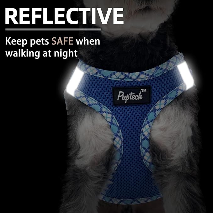 PUPTECK Dog Harness and Leash Set for Small Medium Dogs No Pull Step-in Soft Mesh Puppy Cat Vest Harnesses Reflective at Night, Blue L