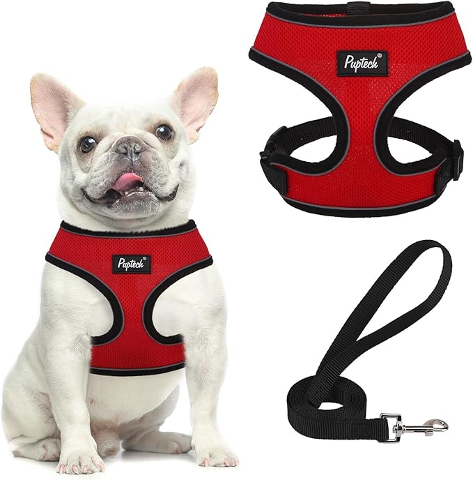 PUPTECK Soft Mesh Dog Harness and Leash Set Pet Puppy Cat Comfort Padded Vest No Pull Harnesses, Solid Red, M