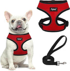 PUPTECK Soft Mesh Dog Harness and Leash Set Pet Puppy Cat Comfort Padded Vest No Pull Harnesses, Solid Red, S