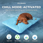 Pelsbarn Dog Cooling Mat- Ice Silk Summer Comfort, Self Cooling, Non-Slip Dog Pad, Durable & Washable, Mat for Extra Large Dogs 33"" x 45"", Support Shelter Dogs with Every Purchase (Blue)