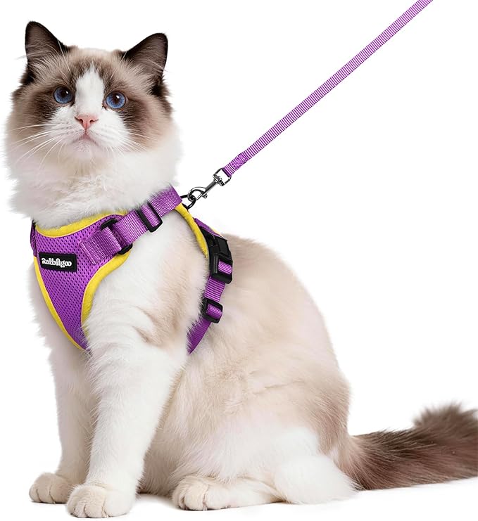 rabbitgoo Cat Harness and Leash for Walking, Escape Proof Soft Adjustable Vest Harnesses for Cats, Easy Control Breathable Reflective Strips Jacket, Purple&Yellow, M