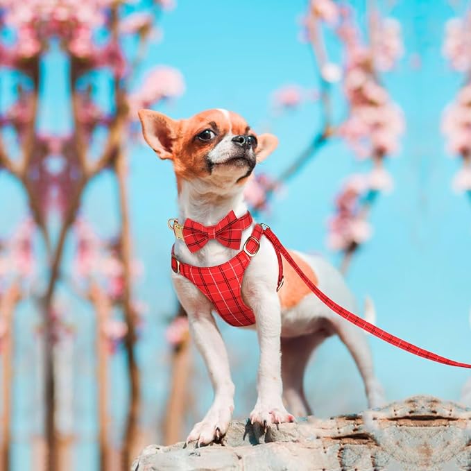 Beirui Cute Extra Small Dog Harness Collar and Leash Set with Bowtie, Soft Adjustable Plaid Puppy Harness for Small Sized Dogs Cats Walks Parties and Photoshoots(Red,XXS:Chest 12-14")