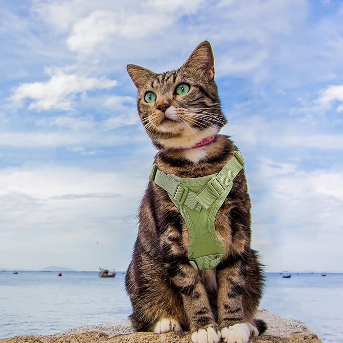 AIWAI Tactical Cat Harness for Walking Escape Proof, Adjustable Pet Vest Harness, Soft Mesh with Control Handle for Large Cat Small Dog, Gift with Patch