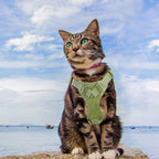 AIWAI Tactical Cat Harness for Walking Escape Proof, Adjustable Pet Vest Harness, Soft Mesh with Control Handle for Large Cat Small Dog, Gift with Patch
