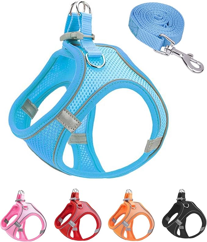 XS Blue Soft Mesh Dog Harness and Leash Set,No Escape Puppy Harnesses for Training Walking， Reflective Adjustable Puppy Vest for Small Medium Dogs, Cats (Blue, XS)