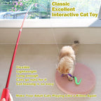 Cat Toys for Indoor Cats, Interactive Cat Toy 2PCS Retractable Wand Toy and 9PCS Cat Feather Toys Refills, Funny Kitten Toys Cat Fishing Pole Toy for Bored Indoor Cats Chase and Exercise