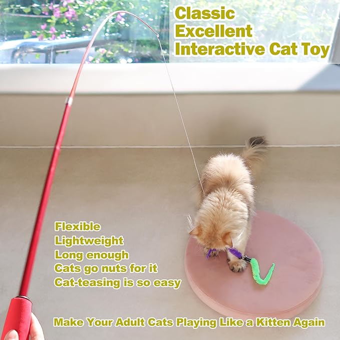 Cat Toys for Indoor Cats, Interactive Cat Toy 2PCS Retractable Wand Toy and 9PCS Cat Feather Toys Refills, Funny Kitten Toys Cat Fishing Pole Toy for Bored Indoor Cats Chase and Exercise