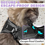 Cat Harness and Leash Set,Escape Proof Kitten Harness,Step in Adjustable Soft Lightweight,Easy Control,Reflective Strips Comfortable for Walking Travel(Black,M)