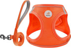 Hipubby Dog Harness and Leash Set, No Pull Soft Mesh Puppy Harness for Small Medium Dogs, Cats - Step in Reflective Breathable Lightweight Vest Harness for Walking, Training - Orange, XXS